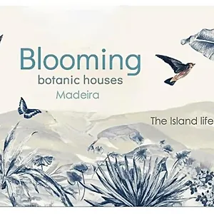 Blooming Botanic Ferienhaus Estreito Da Calheta